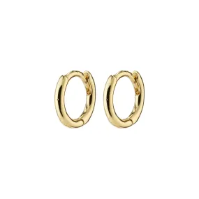 Eanna Gold Plated Huggie Hoops